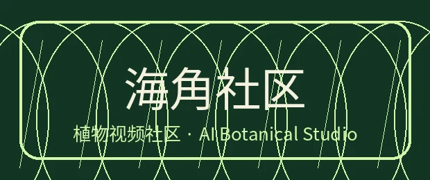 海角社区